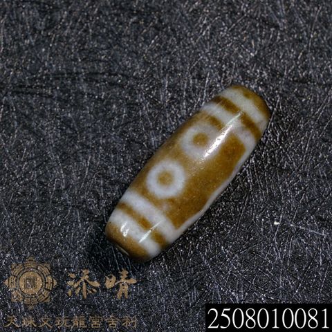 2508010081