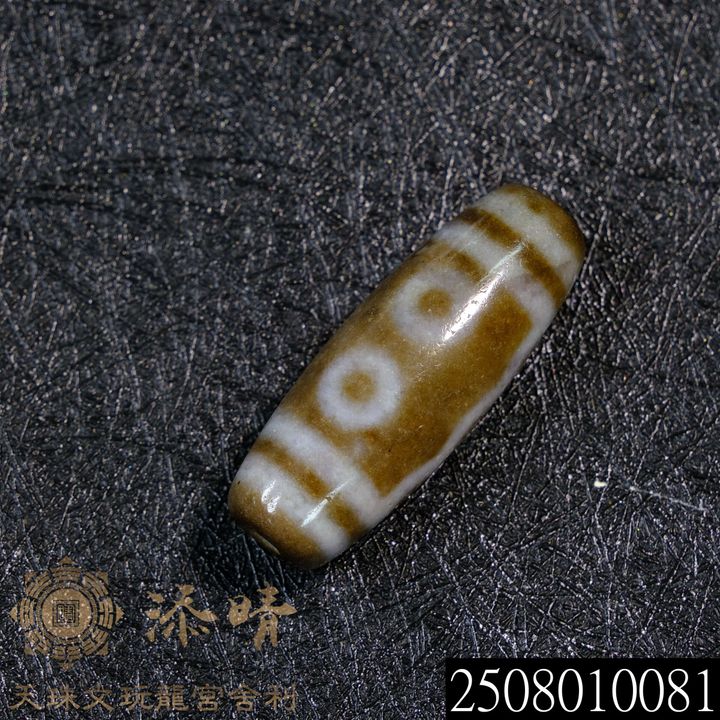 2508010081