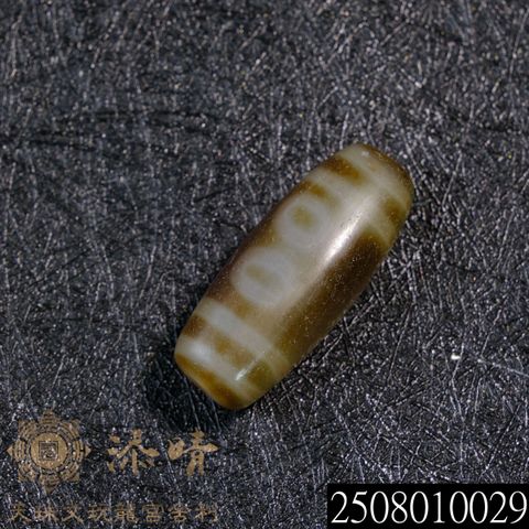 2508010029