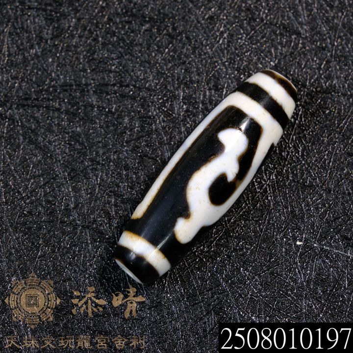 2508010197