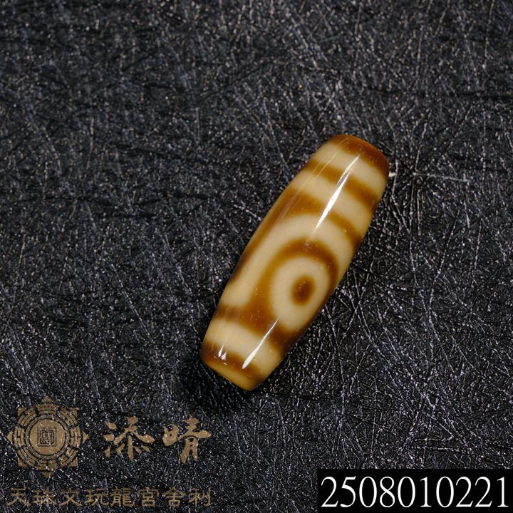 2508010221