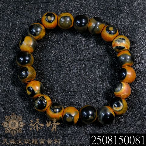 2508150081