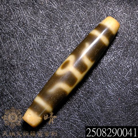 2508290041