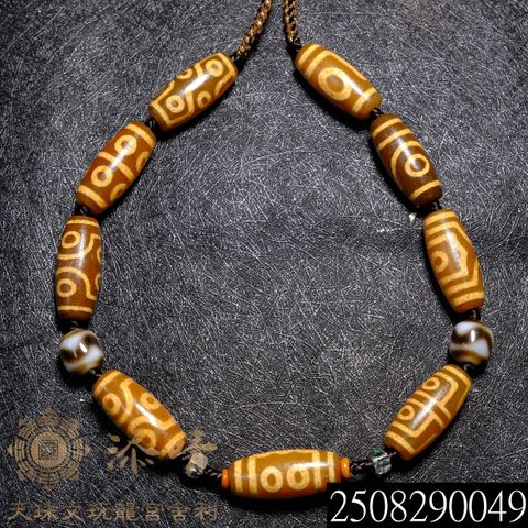 2508290049