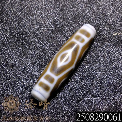 2508290061