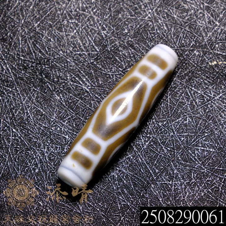 2508290061