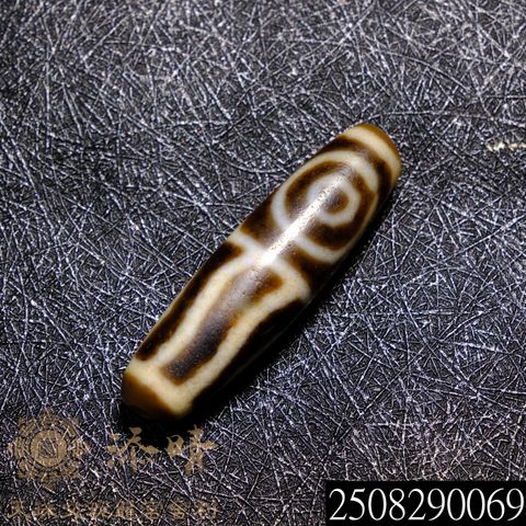 2508290069