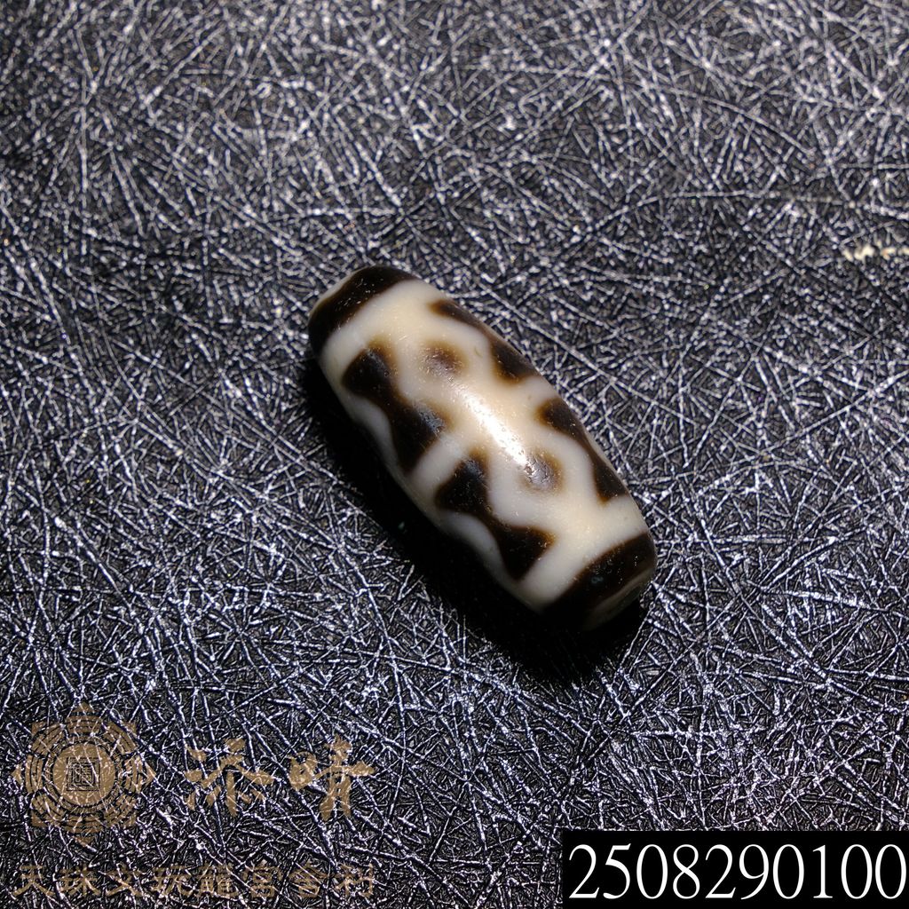 2508290100