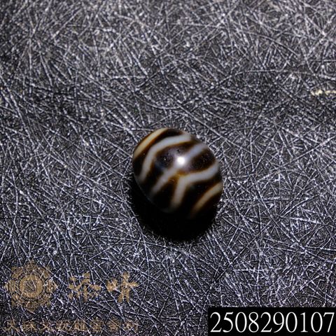 92983736.jpeg?width=480