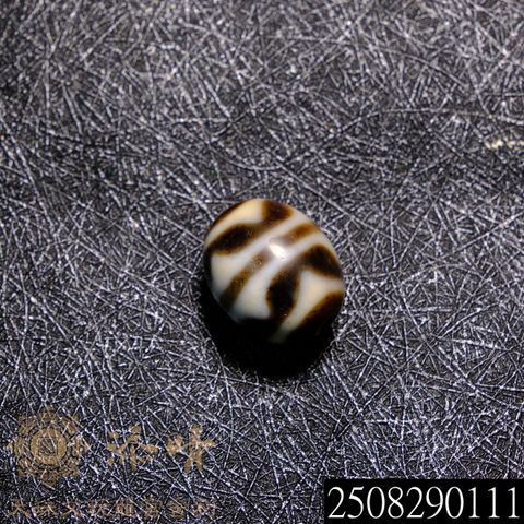 上肯收藏級牙黃老料雙虎牙達洛天珠– 添晴天珠文玩龍宮舍利