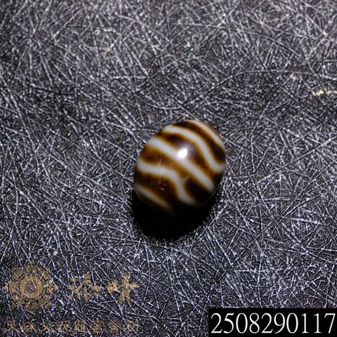 2508290117