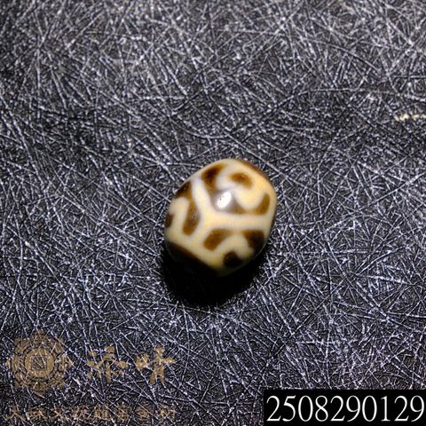 2508290129