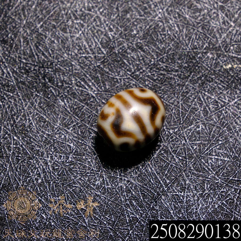 虎牙蓮花天珠 上肯收藏級牙黃老料虎牙蓮花六眼達洛天珠– 添晴天珠文玩龍宮舍利