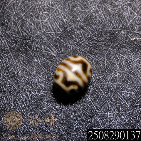 2508290137