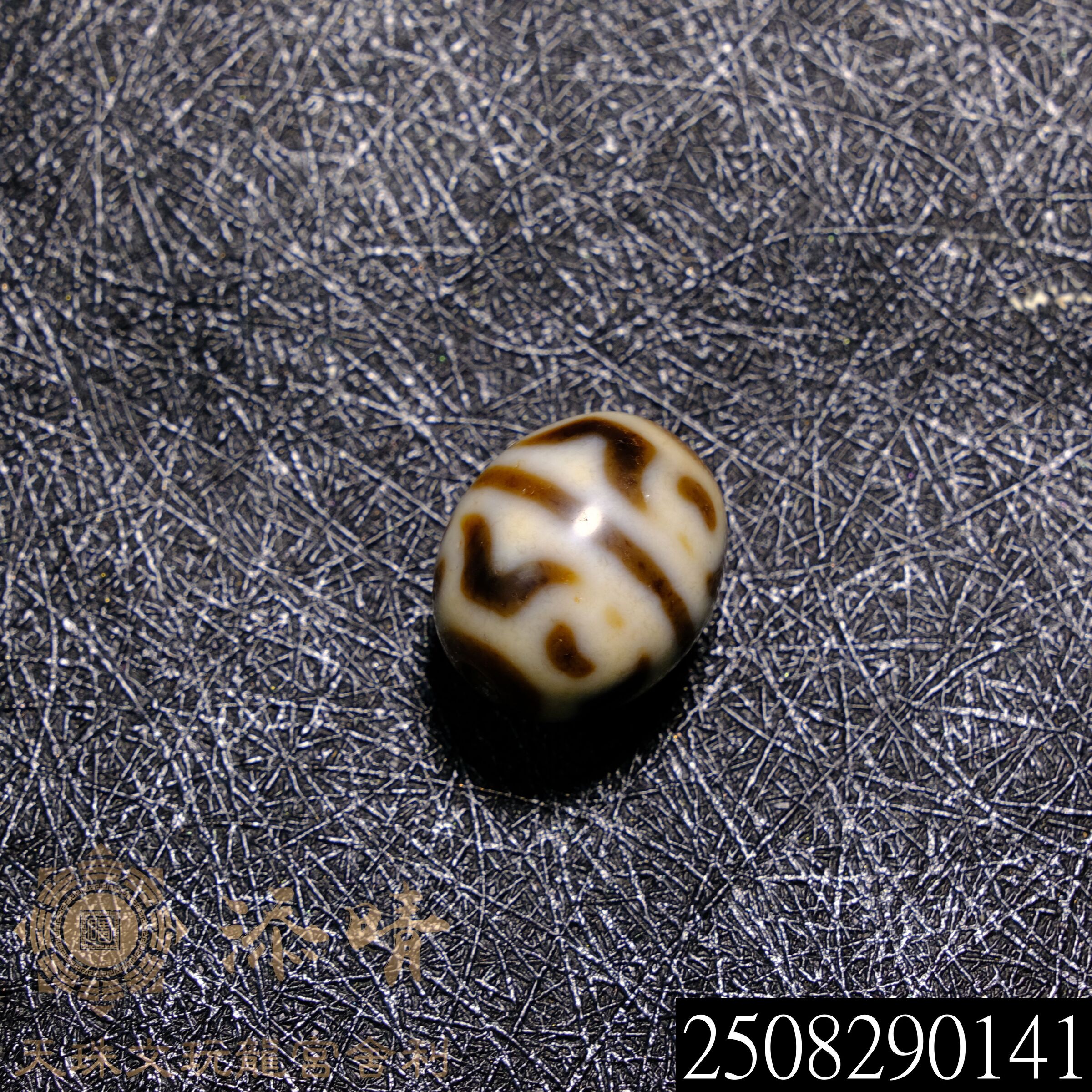 上肯收藏級牙黃老料虎牙蓮花六眼達洛天珠– 添晴天珠文玩龍宮舍利