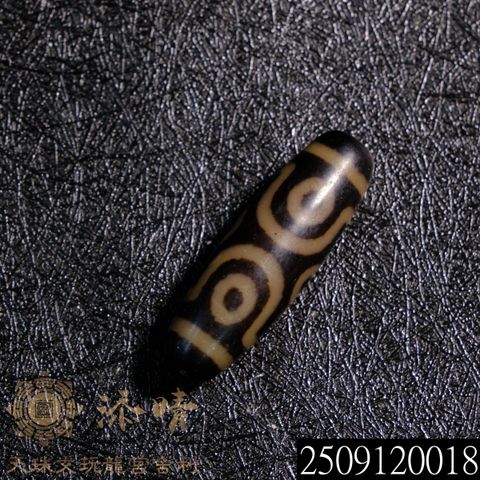 93709069.jpeg?width=480