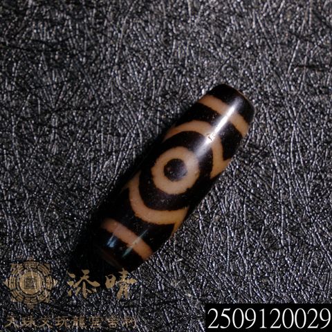 2509120029