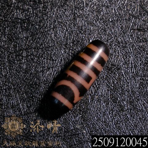 2509120045