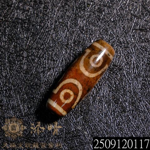 2509120117