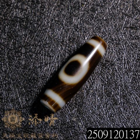 2509120137