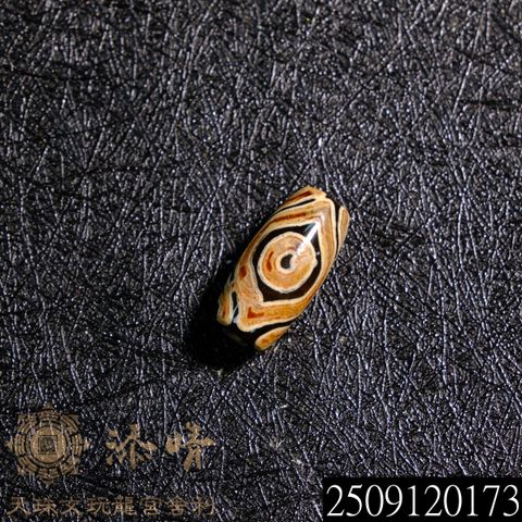 2509120173