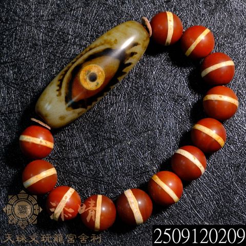 2509120209