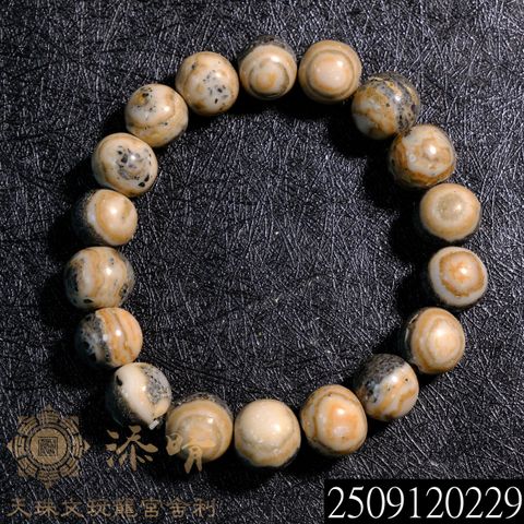2509120229