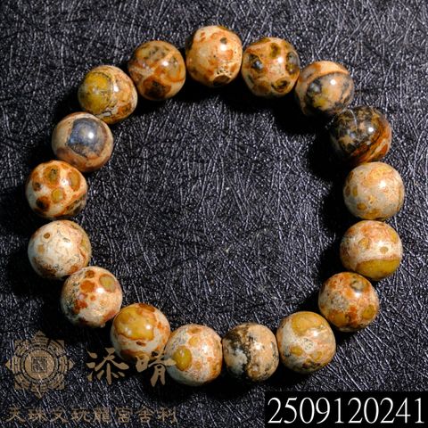 2509120241