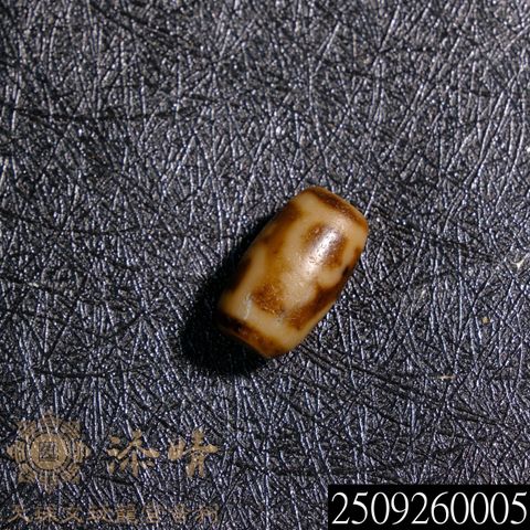 2509260005
