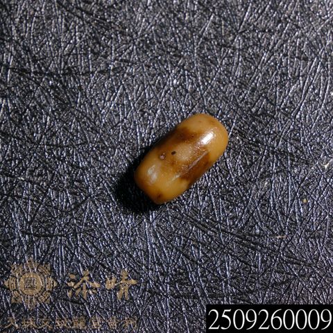 2509260009