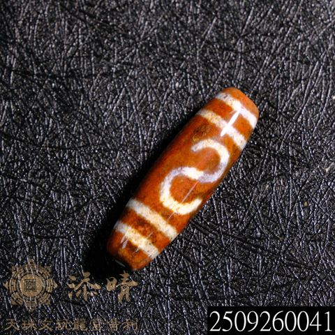 2509260041