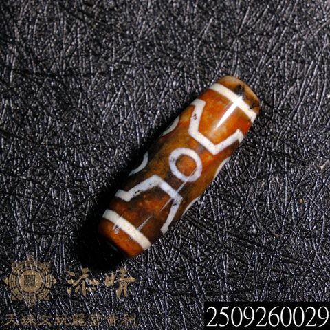 2509260029