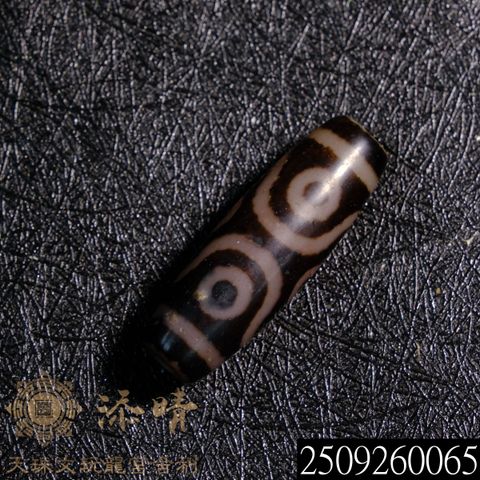 2509260065