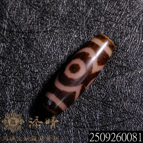 2509260081