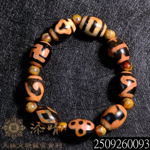 2509260093