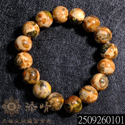 2509260101