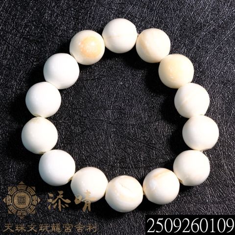 2509260109