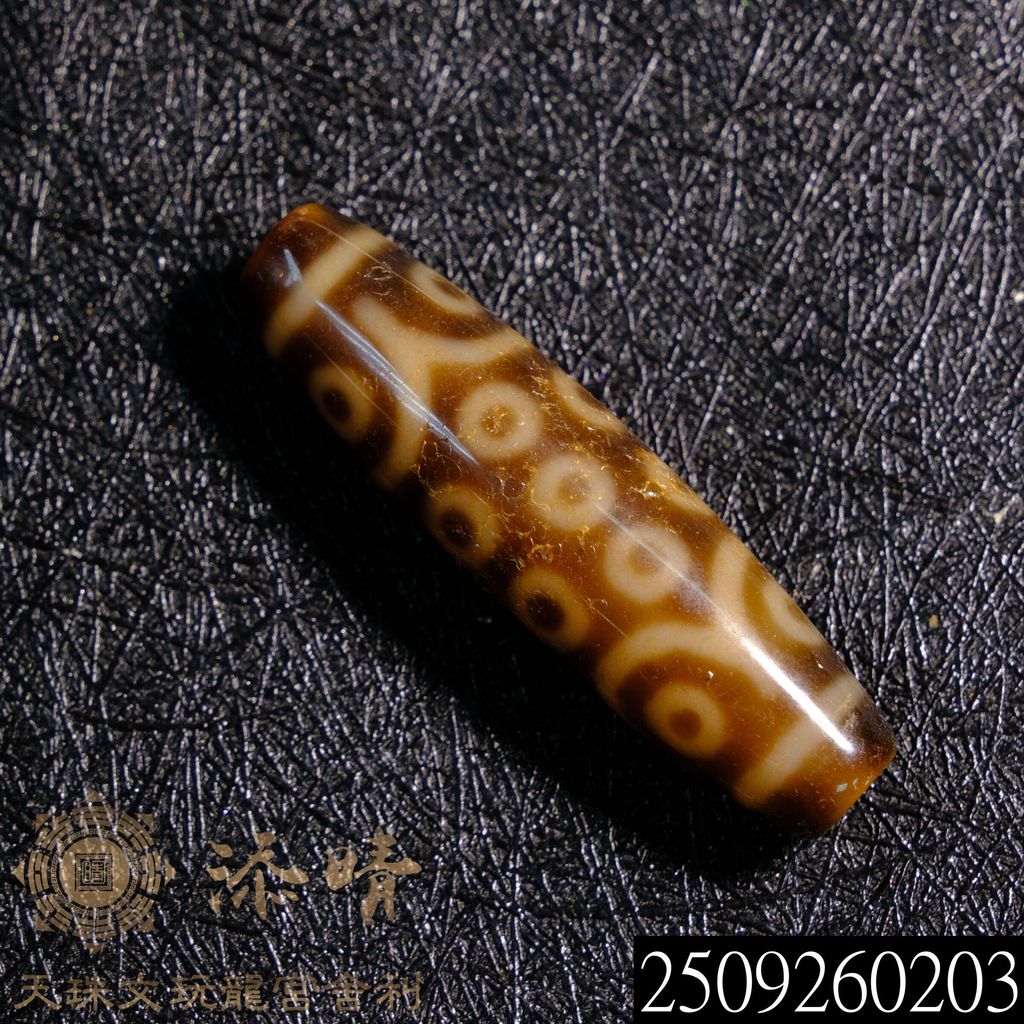 2509260203