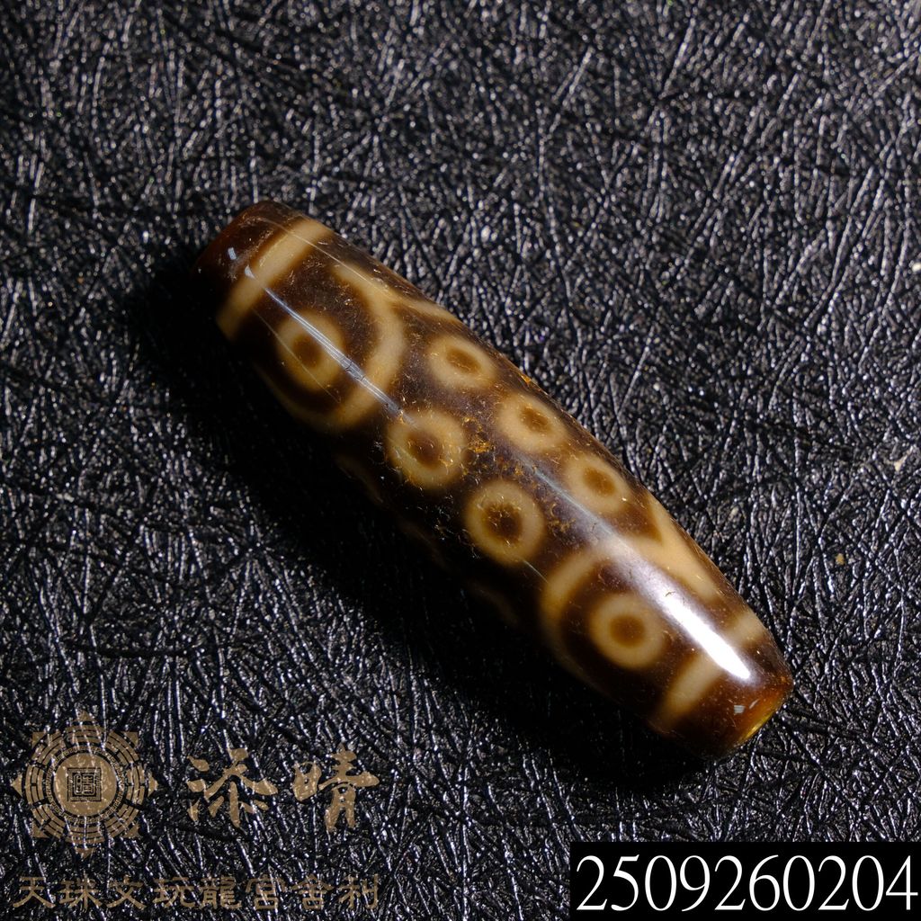 2509260204