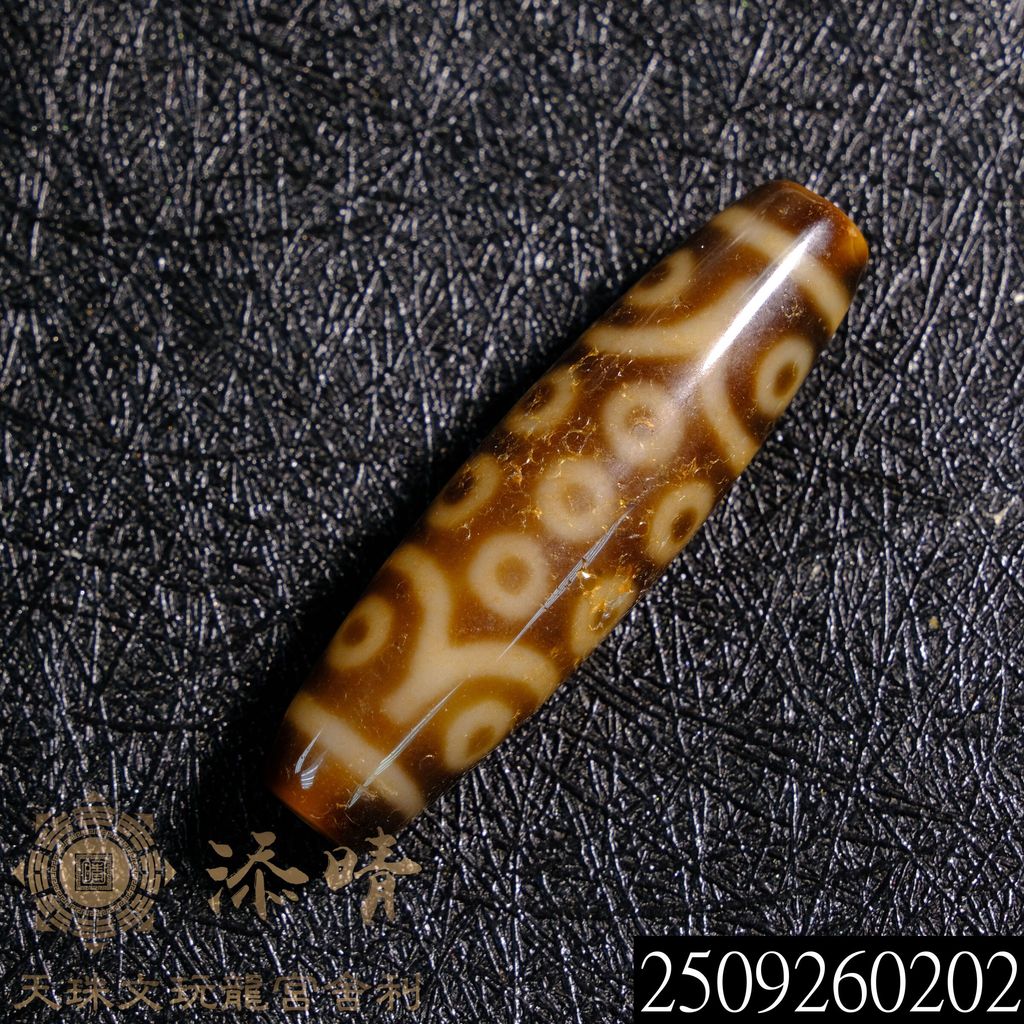 2509260202