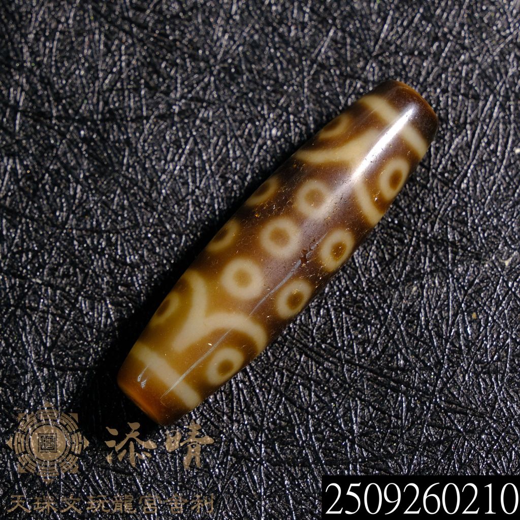2509260210