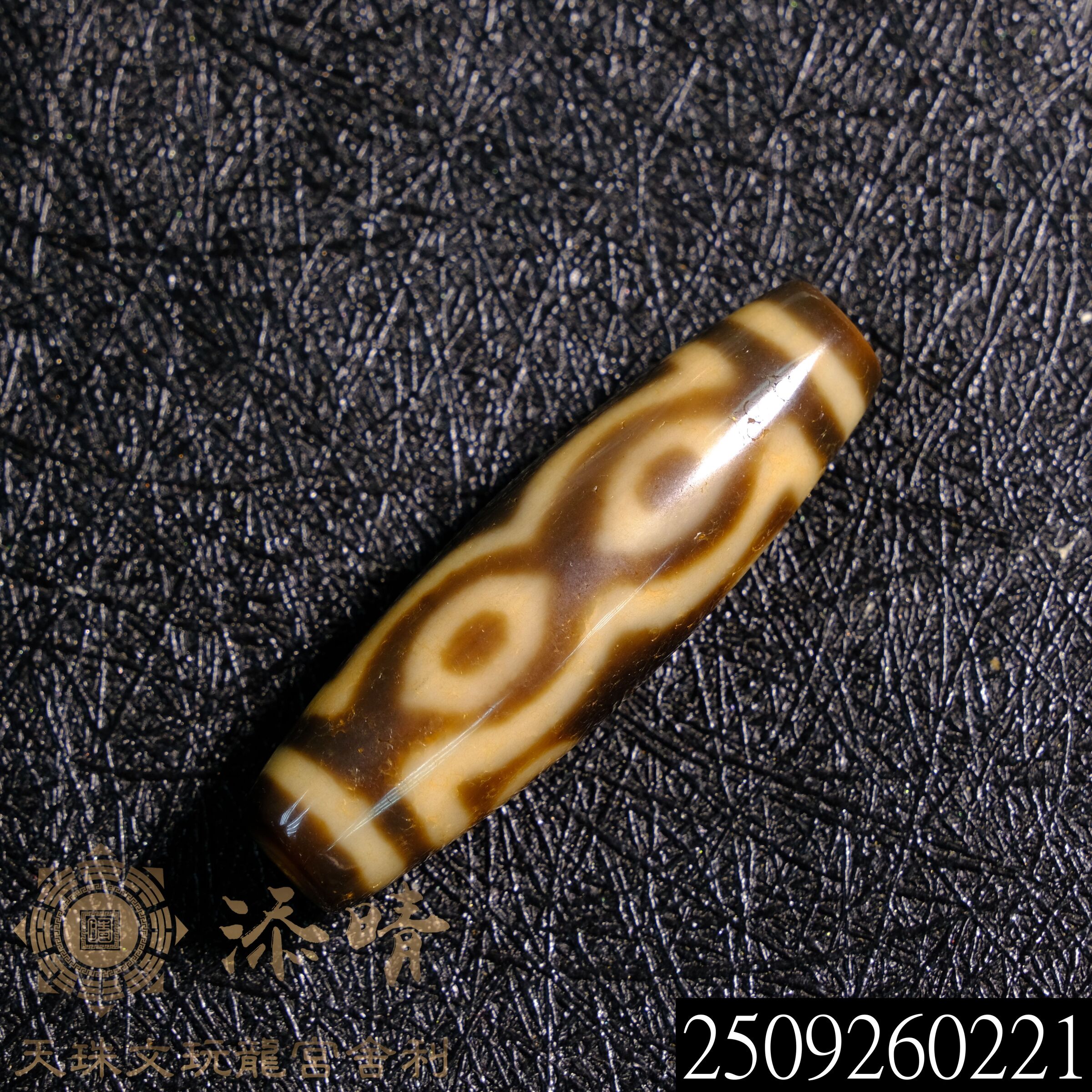 雅麗龍神天珠[12×38] 雅麗龍神天珠[12×38] 龍鱗天珠- Top 500件龍