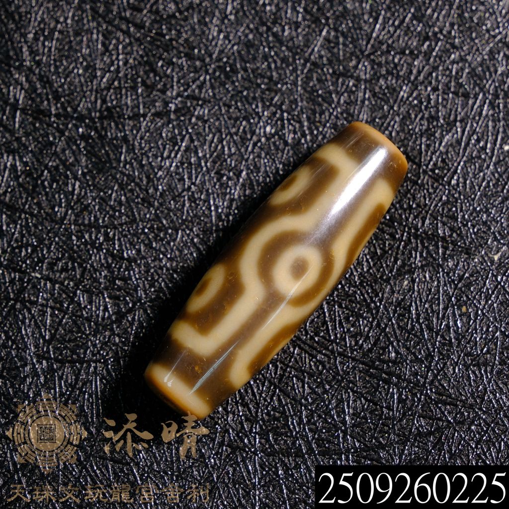 2509260225