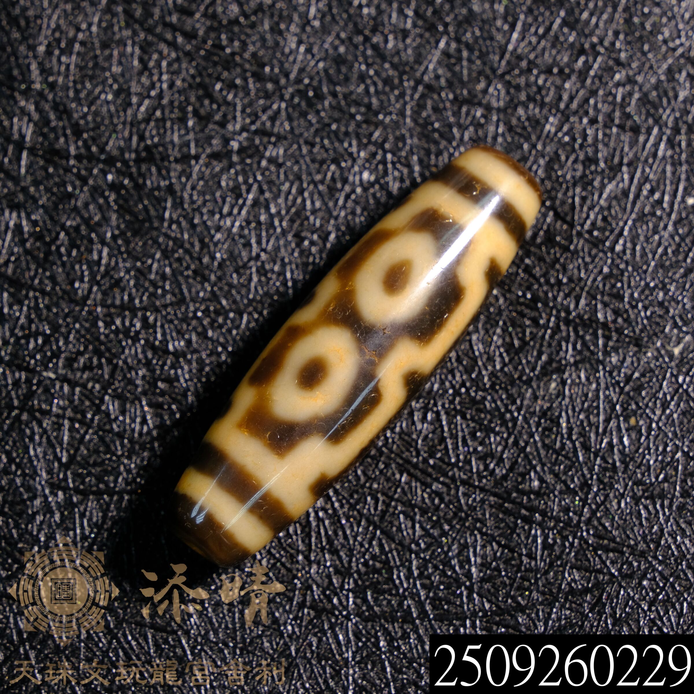 天法21財神供金剛杵佛四眼天珠– 添晴天珠文玩龍宮舍利