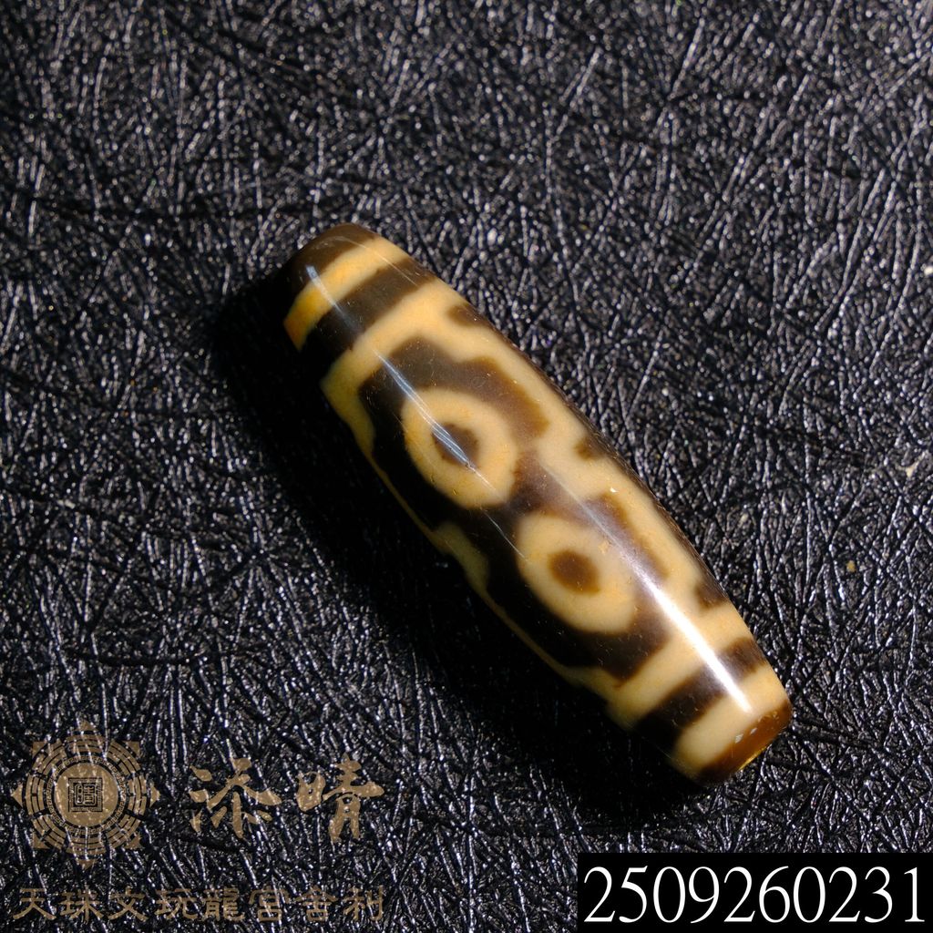 2509260231