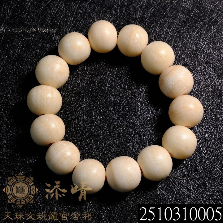 2510310005