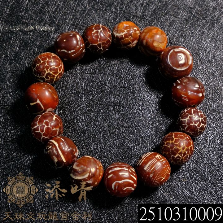 2510310009
