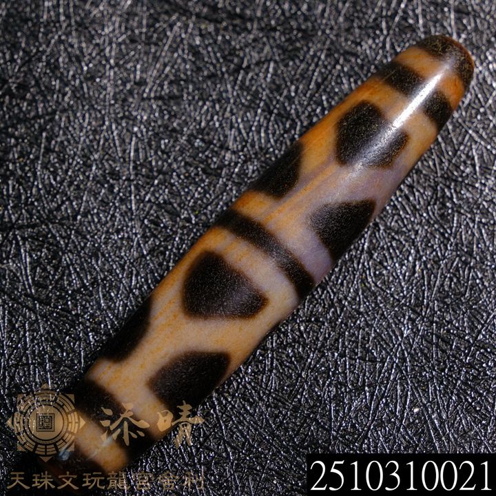 2510310021