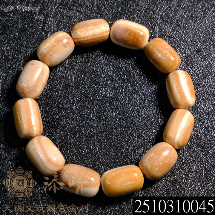2510310045