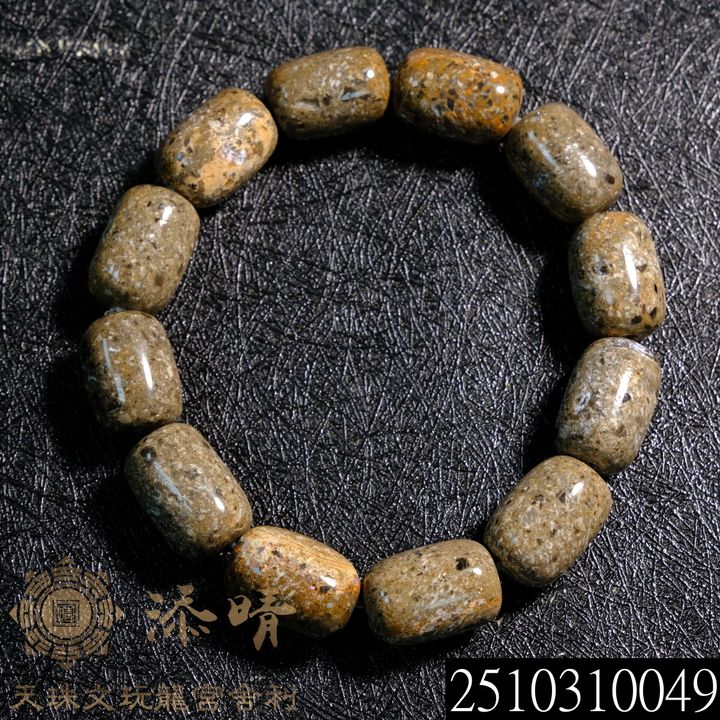 2510310049